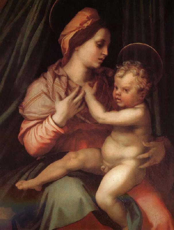 Andrea del Sarto The Virgin and Child oil painting picture